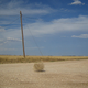 Image for article titled How Tumbleweeds Spread Radiation From Old Nuclear Sites